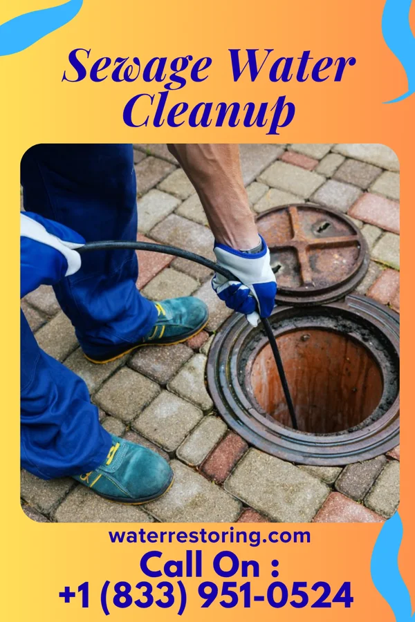 Sewage Water Cleanup in Jennings, MD