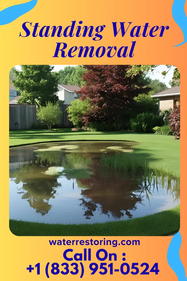 Standing Water Removal in Jennings, MD